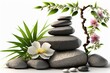 spa still life with stones and orchid, isolated on white rocks stacked atop, vibrant color gradients, naturalistic zen treatment, massage relaxation balance, meditation background, generative ai