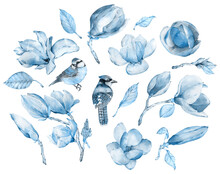 Hand-drawn Watercolor Blue Magnolia Flowers And Birds - Blue Tit And Jay Bird. Blue Flowers And Leaves Clipart Isolated On The White Background.
