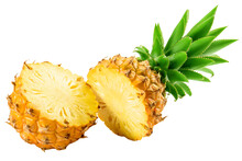 Pineapple Isolated On White Background, Full Depth Of Field