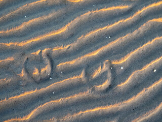 Two horse shoe imprints on a warm sand illuminated at sunset. Warm tone. Horse riding sport concept.