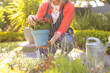 © Wavebreak Media - Midsection of senior caucasian woman planting flowers gardening in sunny garden