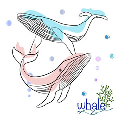 Wall Mural - Hand Drawing Whales Doodle Illustration in different poses. An Arctic Animal