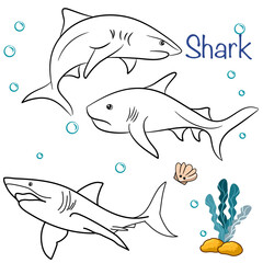 Wall Mural - Shark Doodle Collection in Different Poses in Free Hand Drawing Vector Illustration Style