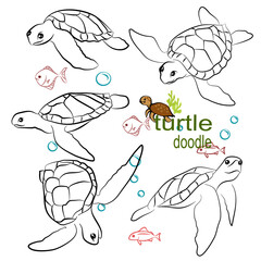 Wall Mural - Hand drawn vector illustration. Set character design of cute turtle doodle style.