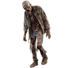 zombie from the walking dead series