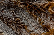 Sugar kelp or Saccharina latissima washed up on the beach at Crawfordsburn County Down Northern Ireland