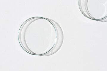 Empty Petri dish. On a white background. Bright sunlight. Deep shadows. Contrast. Laboratory. Petri dishes.