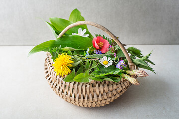 Poster - Spring herbs and plants