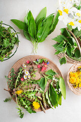 Poster - Spring herbs and plants