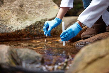 Science, nature and scientist with water sample for inspection, research and ecosystem study. Agriculture, biology and hands of person with test tube in forest for analysis, growth data and bacteria