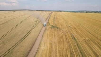 Wall Mural - Aerial view of cargo truck driving on dirt road between agricultural wheat fields making lot of dust. Transportation of grain after being harvested by combine harvester during harvesting season