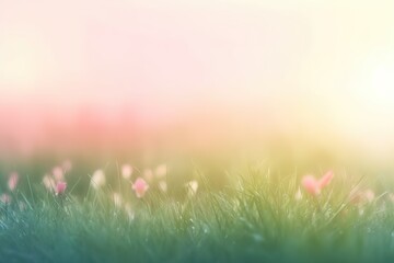 Wall Mural - Grass flower in soft focus and blurred with vintage style for background