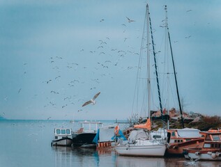 Poster - Scene of several boats docked together on a beach