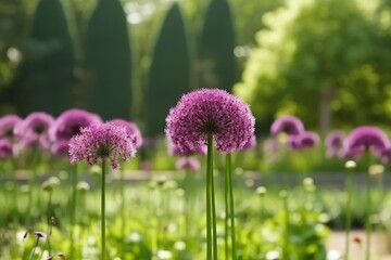 Poster - tranquil field of purple flowers under a clear blue sky. Generative AI