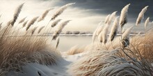 Spikelets Of Grass, A Winter Field, Spikelets, And Grass From The Field Make For A Stunning Natural Vista. Generative AI