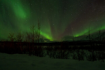 Wall Mural - aurora borealis northern lights lapland night landscape