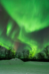 Wall Mural - aurora borealis northern lights lapland night landscape