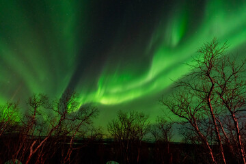 Wall Mural - aurora borealis northern lights lapland night landscape
