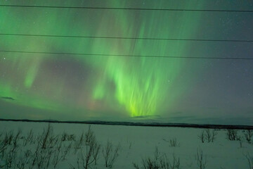 Wall Mural - aurora borealis northern lights lapland night landscape