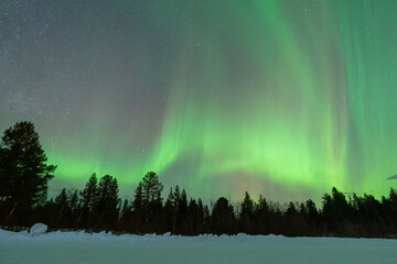 Wall Mural - aurora borealis northern lights lapland night landscape
