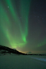 Wall Mural - aurora boreal northern lights in lapland