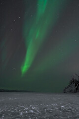 Wall Mural - aurora boreal northern lights in lapland