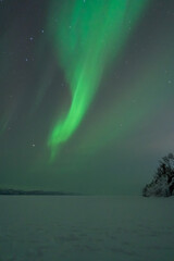 Wall Mural - aurora boreal northern lights in lapland