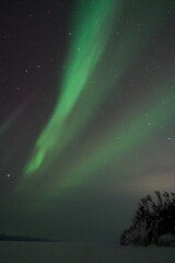 Wall Mural - aurora boreal northern lights in lapland