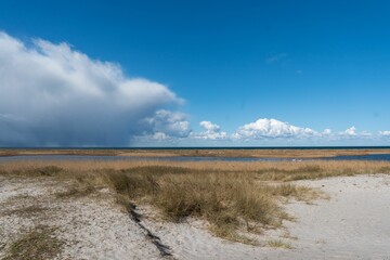 Grassy coast and a river against the blue sky with fluffy clouds