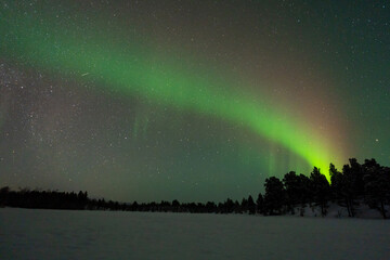Wall Mural - aurora boreal northern light swedish lapland abisko