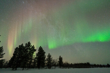 Wall Mural - aurora boreal northern light swedish lapland abisko