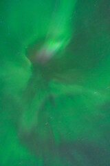 Wall Mural - aurora boreal northern light swedish lapland abisko