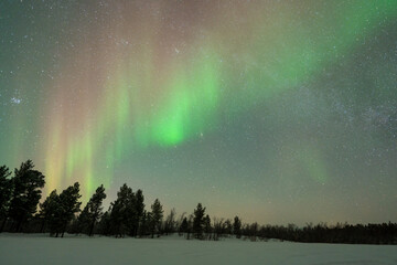 Wall Mural - aurora boreal northern light swedish lapland abisko