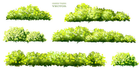 set of green grass, vector watercolor of tree side view isolated on white background for landscape a