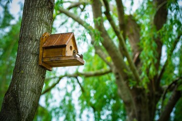 Rustic wooden birdhouse on a tree branch, surrounded by lush green foliage