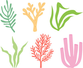 Collection coral seaweed vector illustration