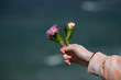 Hand holding coastal flowers