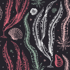 Wall Mural - Hand-drawn Kombu background. Laminaria botanical illustration in sketch style. Edible seaweed seamless pattern. Sea life drawings. For menu design, textile, wrapping paper, print