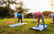 © Alessandro Biascioli - Happy senior friends doing workout activity in a public park - Health elderly people lifestyle