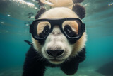 Photo of panda bear scubadiving wearing mask. Animal influencer.