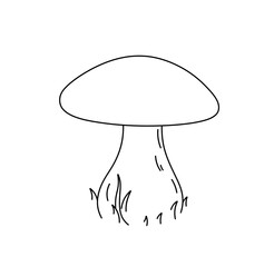 Wall Mural - Vector isolated one single simplest white mushroom boletus porcini cep in grass colorless black and white contour line easy drawing