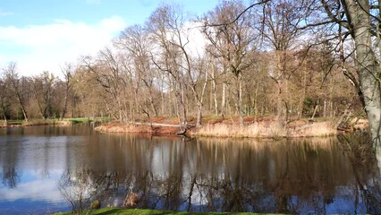 Sticker - Beautiful scene of forest trees reflecting on lake water by grass land coast in the park