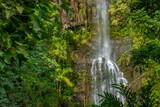 Fototapeta Las - The stunning Waimoku Falls at the end of the Pipiwai Trail, Kīpahulu District, Haleakala National Park, Maui, Hawaii, USA