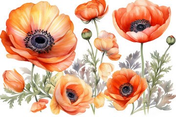 Canvas Print - orange poppy anemone and ranunculus watercolor set illustration of flowers, decoration pattern, floral woman,women, mother's day, Generative AI