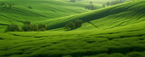 Fototapeta Na ścianę - Green fields design, texture-rich, green grass background. Generative Ai. 