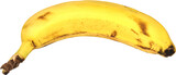 platano