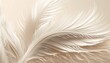 Elegant white feather plume on beige background