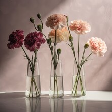 Gorgeous Flowers In Glass Vases, Minimal, Clean Setting, Illustration Made With Generative AI