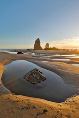 Wall Mural - USA, Oregon. Cannon Beach low tide and ripples in the sand and sea stacks at sunset.