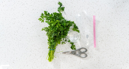 Wall Mural - Fresh parsley